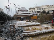 Vánoční výlet - Ekocentrum Mladá Boleslav